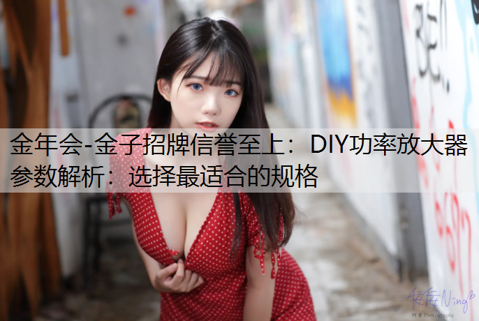 金年会-金子招牌信誉至上：DIY功率放大器参数解析：选择最适合的规格