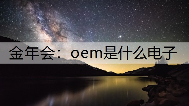 oem是什么电子