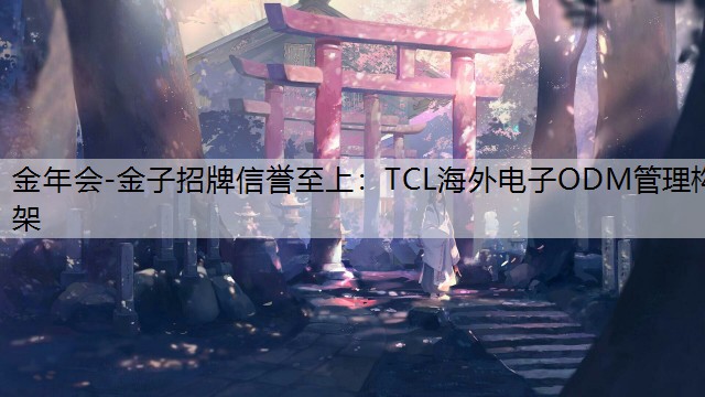 TCL海外电子ODM管理构架